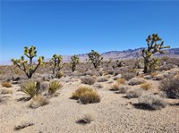 plot of land available - 2