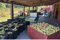 whidbey island turnkey cidery - 1