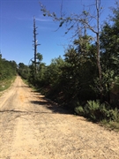 plot of land available - 2