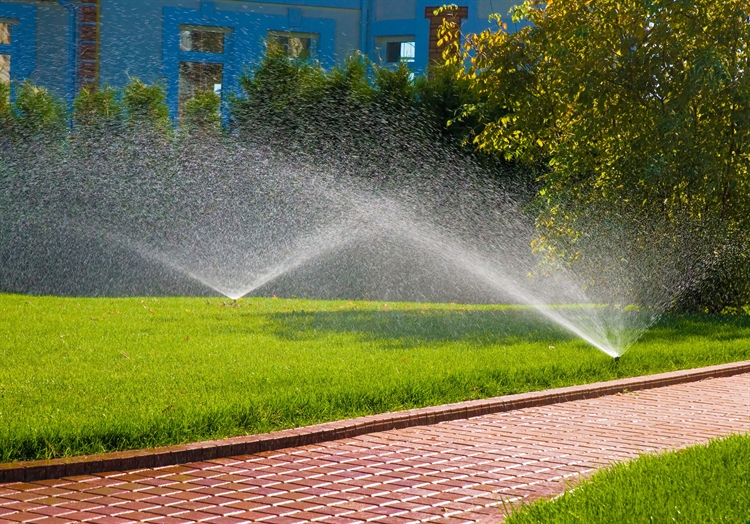 High-Margin Lawn Sprinkler Business With $1M+ Revenue