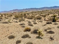 plot of land available - 3