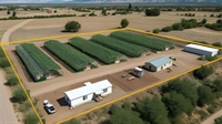 40 acres w greenhouses - 1