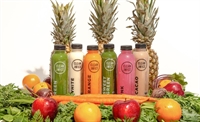 established organic juice food - 1