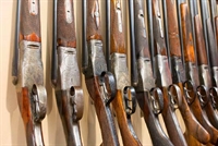 well established collectible firearms - 1