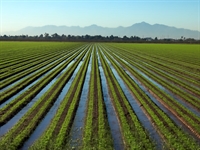 irrigation company family owned - 1