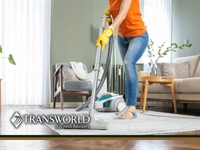 well established cleaning service - 1