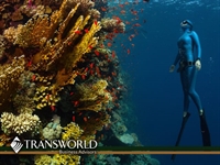 established marine rental business - 1