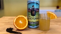 highly sought after kombucha - 1