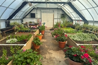 established retail garden center - 1
