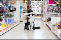 premier natural pet food - 1
