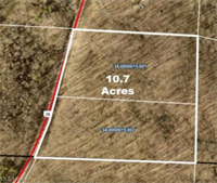 wooded 10 7-acre land - 1
