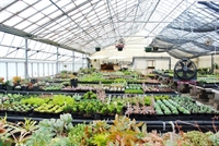 retail nursery specialing succulents - 1