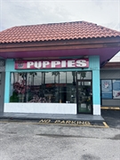 lucrative pet store miami - 1