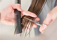 rare salon suite business - 1