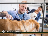 pet grooming business be - 1