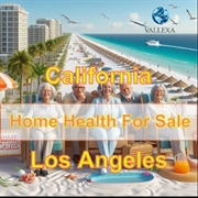 successful home health agency - 1