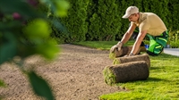 established commercial landscaping grounds - 1