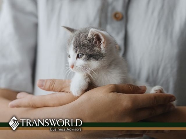 Turnkey Unique Pet Service Business In Volusia County