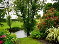 landscaping - 1
