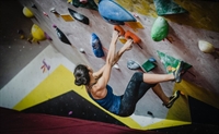 multi-location climbing gym business - 1