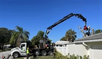 well established tree business - 1
