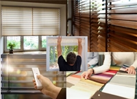 established retail window treatment - 1