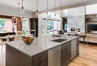 highly established home renovation - 1
