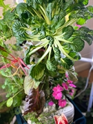 profitable hydroponics manufacturing business - 3