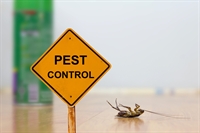 very small pest control - 1