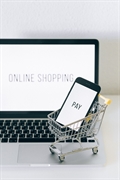 amazon based e-commerce business - 1