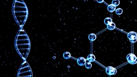 turnkey peptide administration order - 2