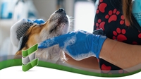high-demand multi-territory mobile pet - 1