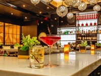 upscale lounge entertainment combo - 1