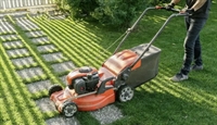 20 year established lawn - 1