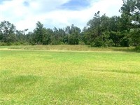 plot of land available - 1