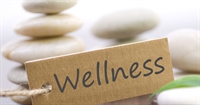 well-known health wellness franchise - 1