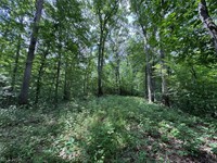 scenic 6 21-acre wooded - 2
