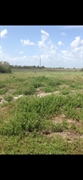 plot of land available - 2