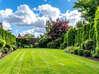 established commercial lawn service - 1