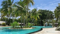 established pool landscaping construction - 1