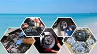 profitable sw-florida auto repair - 1