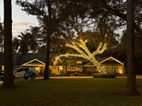 exterior cleaning christmas light - 1