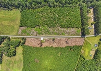 plot of land nichols - 3