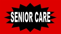 prime non-medical-home senior care - 1