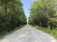 plot of land nichols - 3