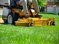 landscaping lawn services - 1