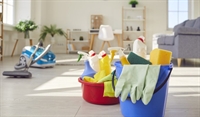 cleaning company for sale - 1