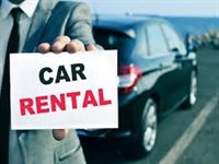 highly profitable car rental - 1