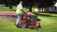 established lawn maintenance business - 1