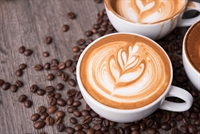 multi-location coffee café roastery - 1